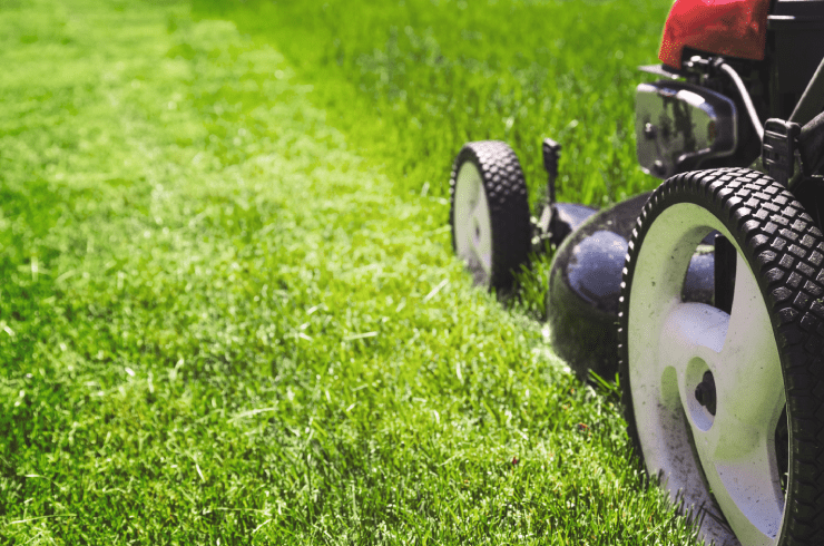 CFM Landscaping and Lawn Care
