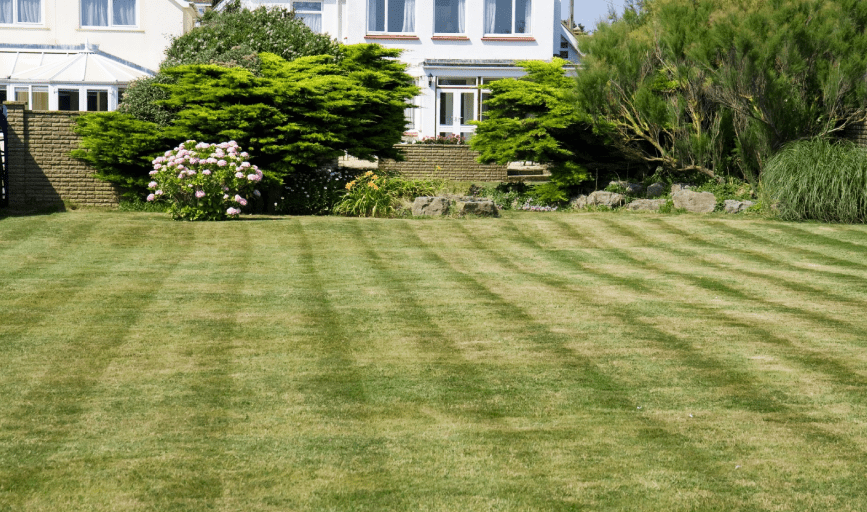 LAWN MOWING